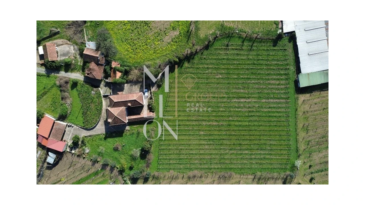 Quinta T4 para Venda em Silvares, Pias, Nogueira e Alvarenga Foto 37