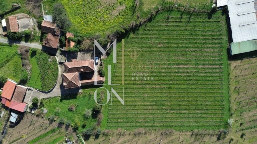 Quinta T4 para Venda em Silvares, Pias, Nogueira e Alvarenga Foto 36