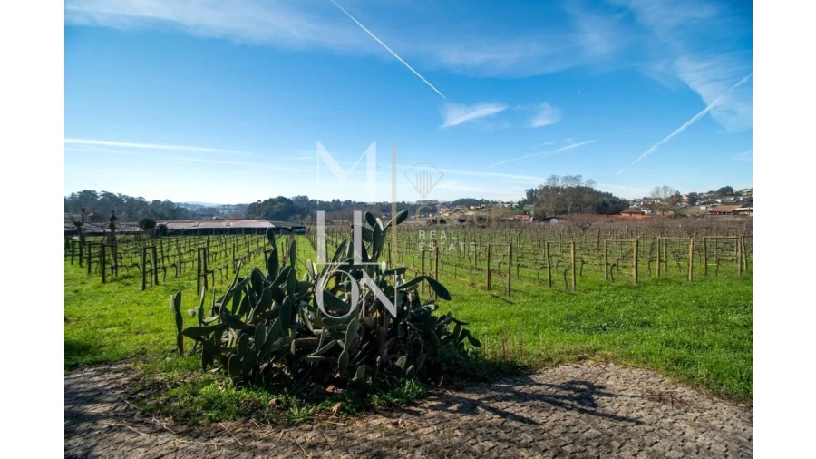 Quinta T4 para Venda em Silvares, Pias, Nogueira e Alvarenga Foto 33