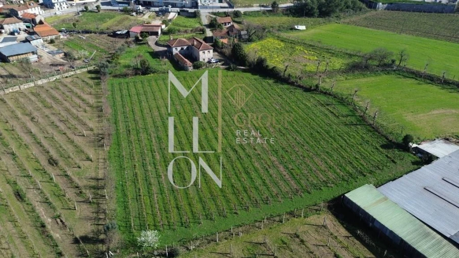 Quinta T4 para Venda em Silvares, Pias, Nogueira e Alvarenga Foto 41