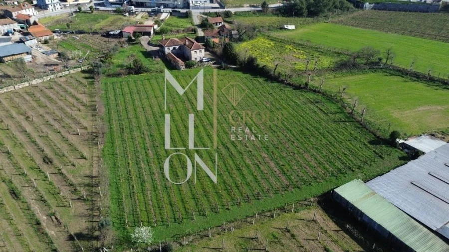 Quinta T4 para Venda em Silvares, Pias, Nogueira e Alvarenga Foto 42