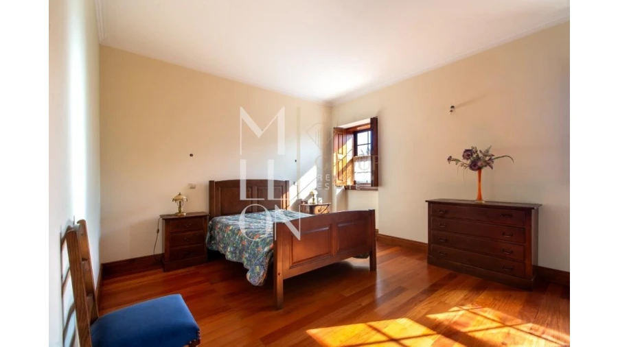 Quinta T4 para Venda em Silvares, Pias, Nogueira e Alvarenga Foto 20