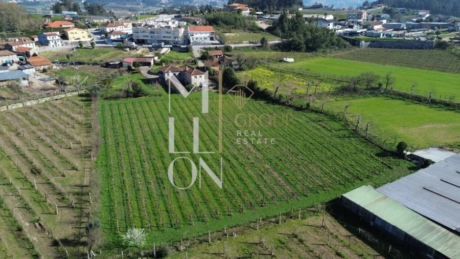 Quinta T4 para Venda em Silvares, Pias, Nogueira e Alvarenga Foto 43