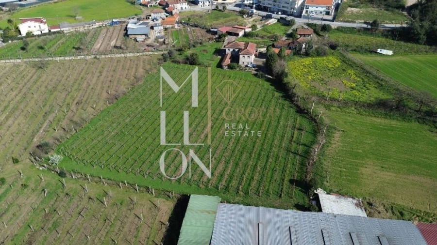 Quinta T4 para Venda em Silvares, Pias, Nogueira e Alvarenga Foto 38