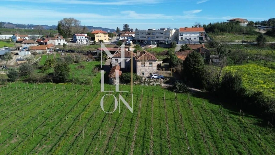 Quinta T4 para Venda em Silvares, Pias, Nogueira e Alvarenga Foto 45