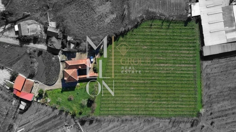 Quinta T4 para Venda em Silvares, Pias, Nogueira e Alvarenga Foto 2