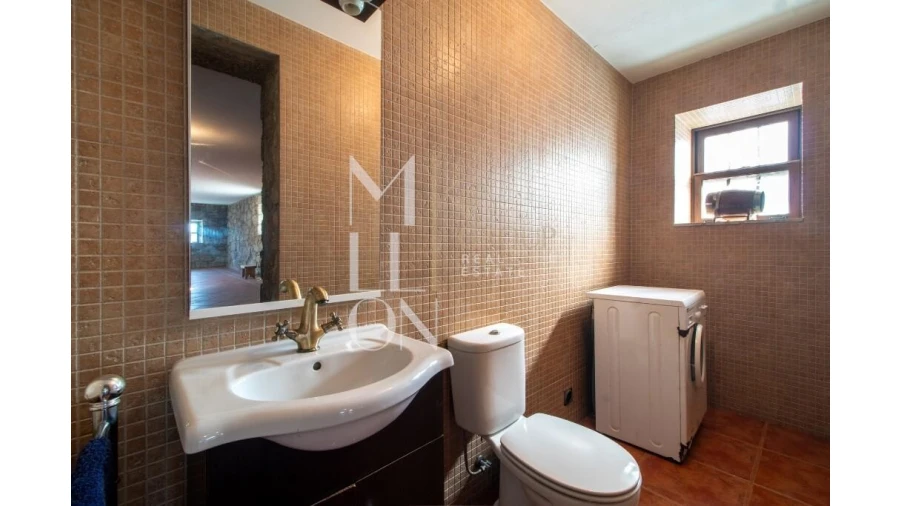 Quinta T4 para Venda em Silvares, Pias, Nogueira e Alvarenga Foto 15