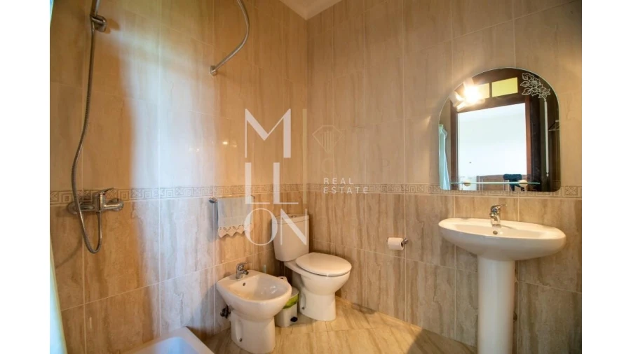 Quinta T4 para Venda em Silvares, Pias, Nogueira e Alvarenga Foto 19