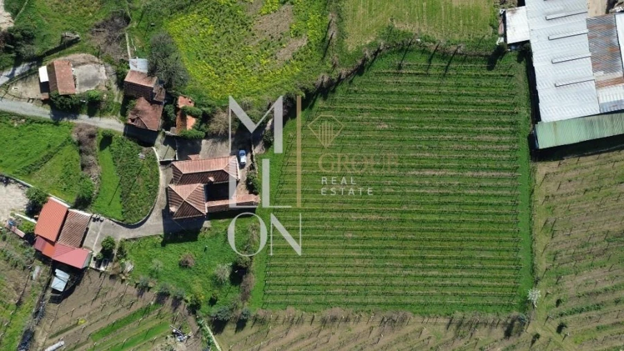 Quinta T4 para Venda em Silvares, Pias, Nogueira e Alvarenga Foto 34