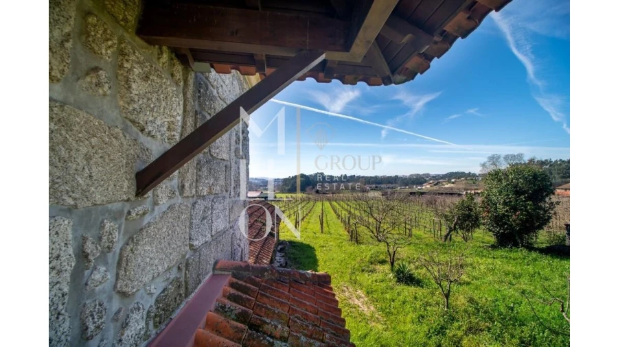 Quinta T4 para Venda em Silvares, Pias, Nogueira e Alvarenga Foto 28