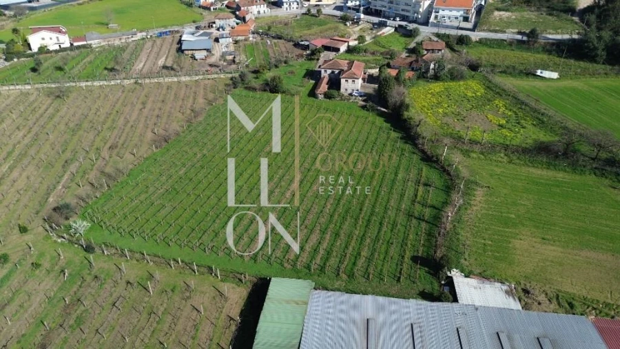 Quinta T4 para Venda em Silvares, Pias, Nogueira e Alvarenga Foto 39