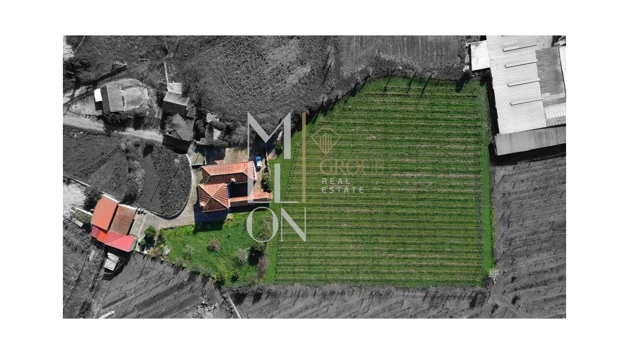 Quinta T4 para Venda em Silvares, Pias, Nogueira e Alvarenga Foto 2