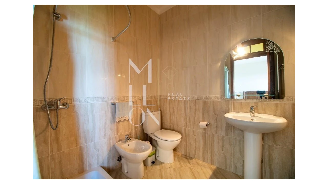 Quinta T4 para Venda em Silvares, Pias, Nogueira e Alvarenga Foto 19