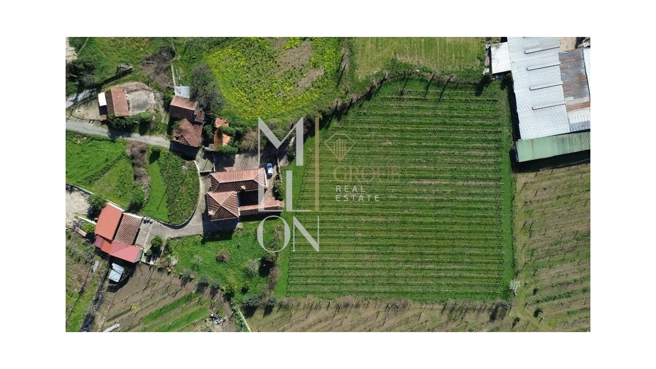 Quinta T4 para Venda em Silvares, Pias, Nogueira e Alvarenga Foto 34