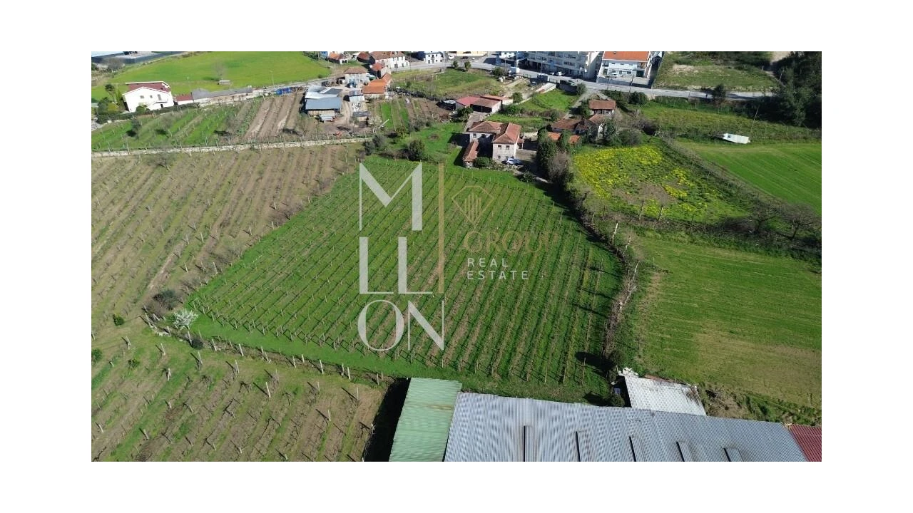 Quinta T4 para Venda em Silvares, Pias, Nogueira e Alvarenga Foto 39