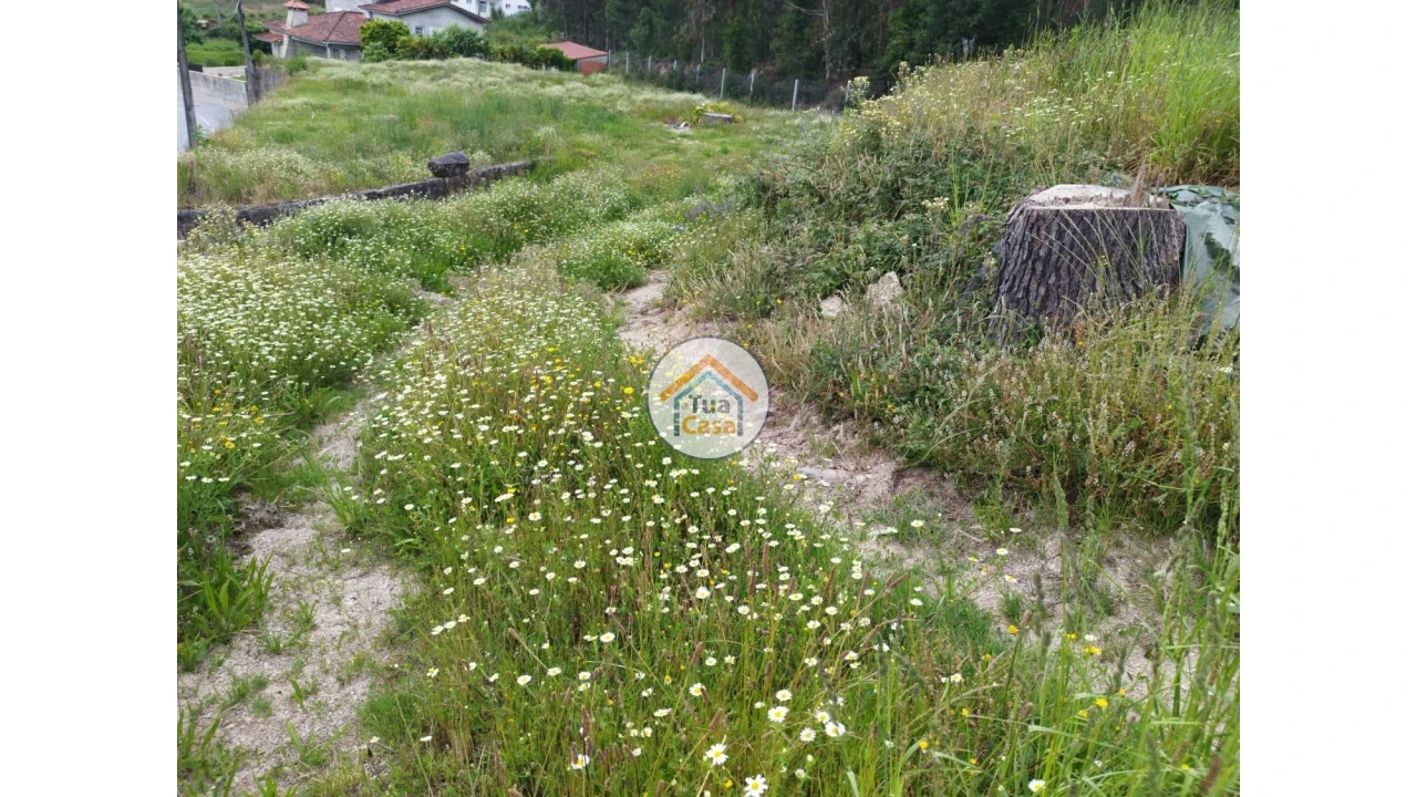 Terreno para Venda em Carreira e Fonte Coberta Foto 2