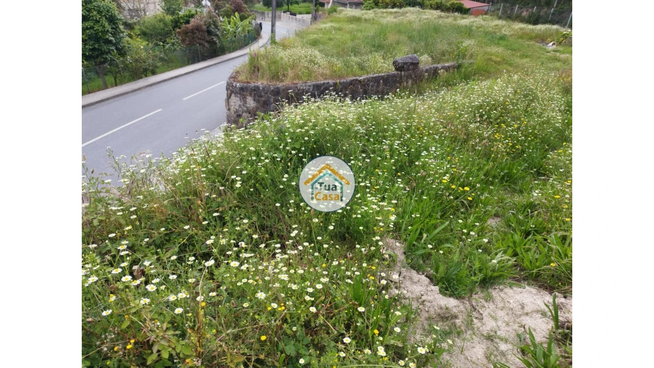 Terreno para Venda em Carreira e Fonte Coberta Foto 4