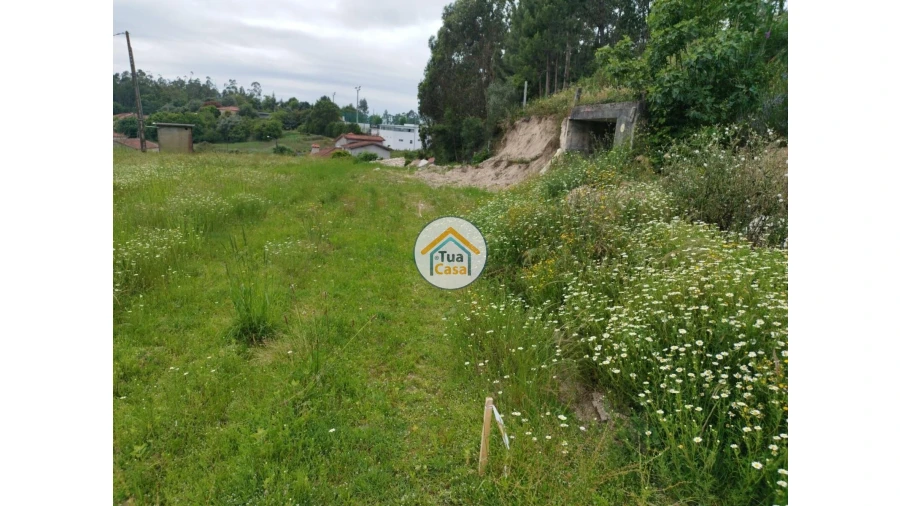 Terreno para Venda em Carreira e Fonte Coberta Foto 8