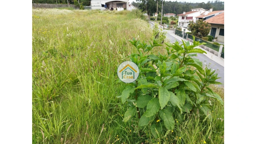 Terreno para Venda em Carreira e Fonte Coberta Foto 5