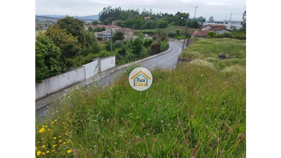 Terreno para Venda em Carreira e Fonte Coberta Foto 7