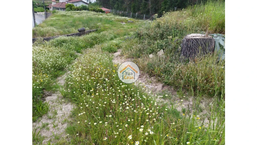 Terreno para Venda em Carreira e Fonte Coberta Foto 2