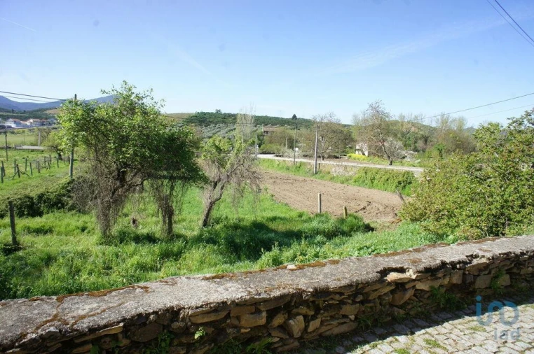 Terreno para Venda em Veiga de Lila Foto 9