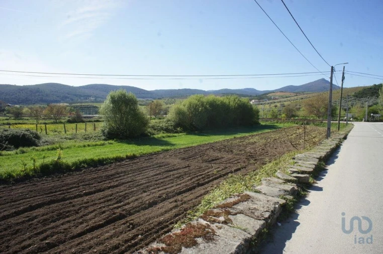 Terreno para Venda em Veiga de Lila Foto 12