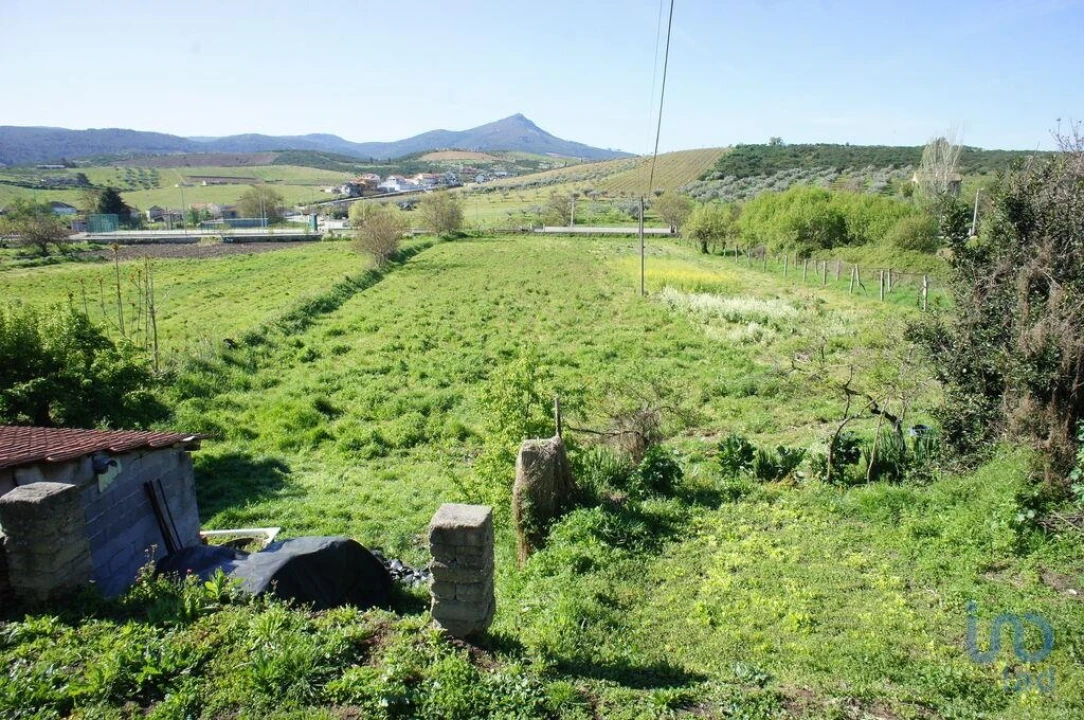 Terreno para Venda em Veiga de Lila Foto 8