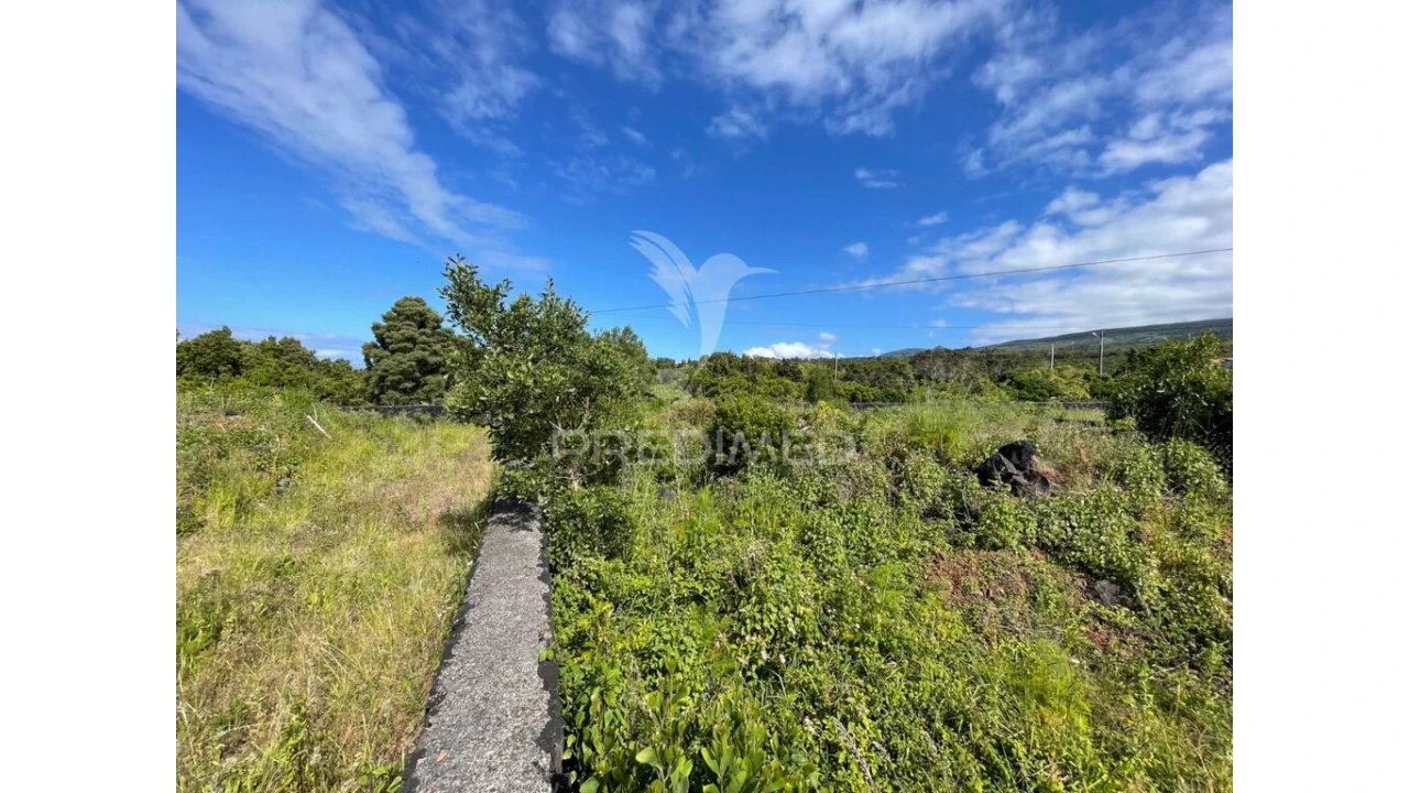 Terreno para Venda em Santo Antonio Foto 6