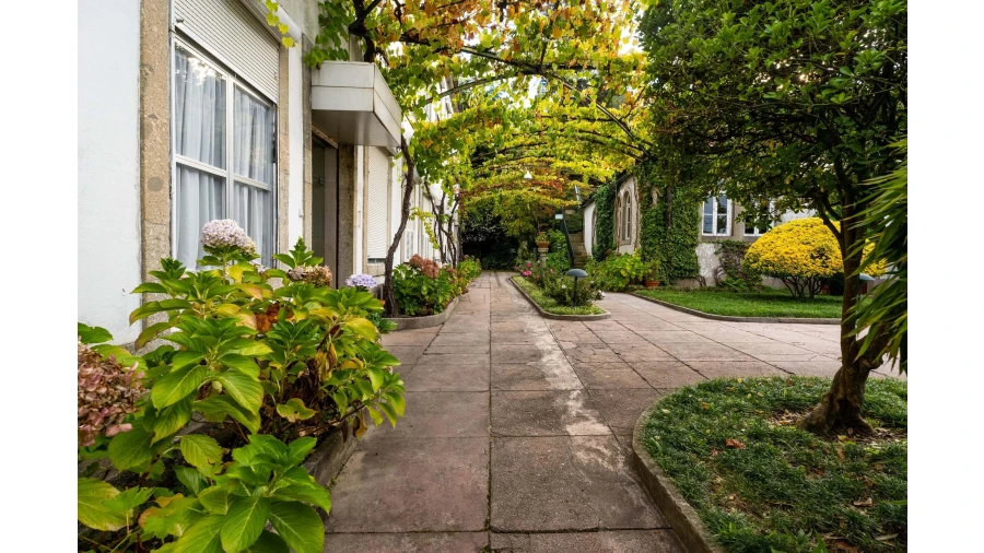 Prédio para Venda em Caldelas, Sequeiros e Paranhos Foto 3