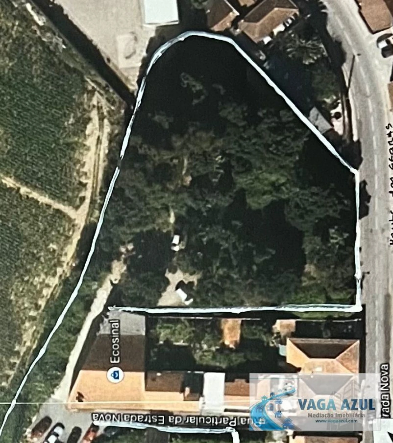 Terreno Agricola ou Rústico para Venda em Rio Tinto Foto 2