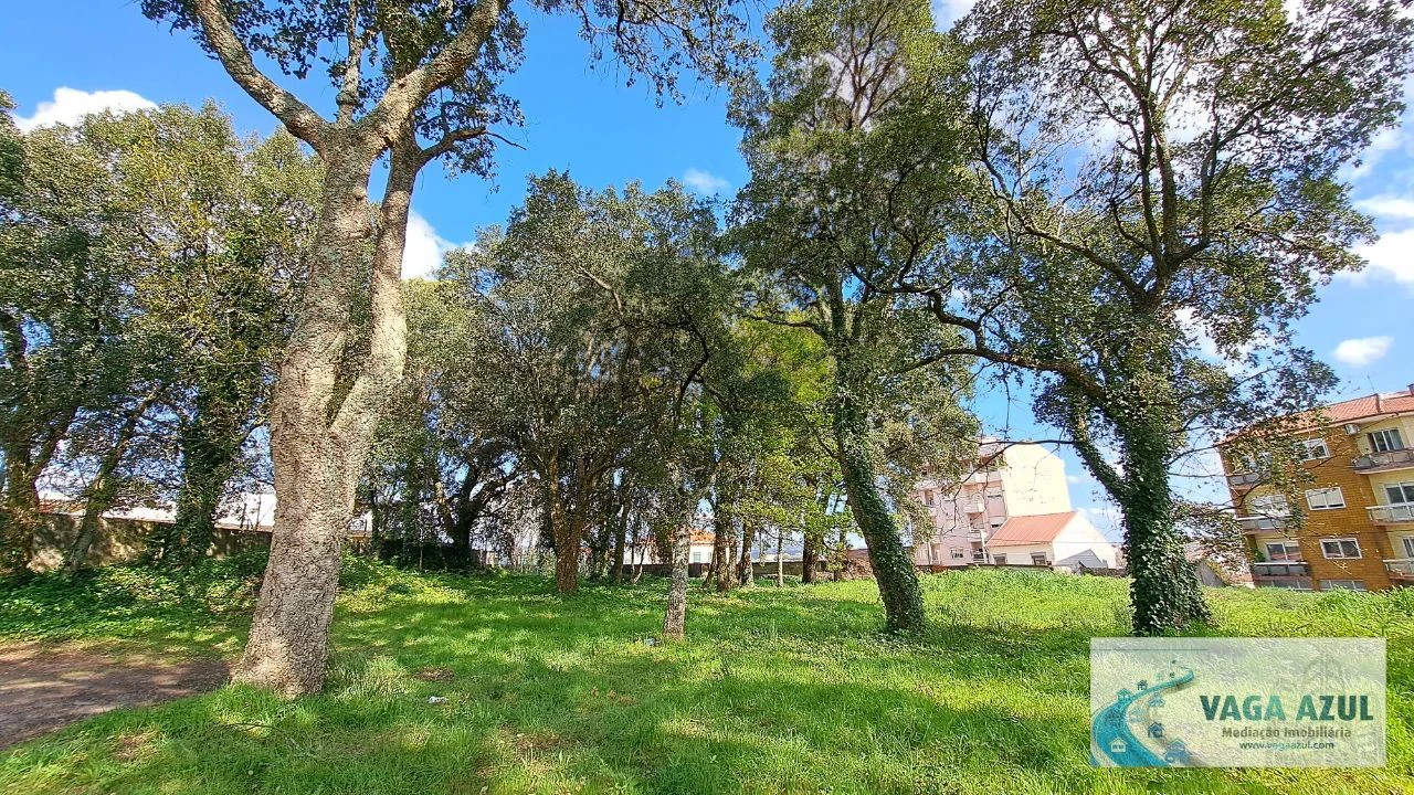 Terreno Agricola ou Rústico para Venda em Rio Tinto Foto 2