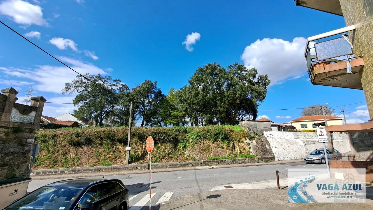 Terreno Agricola ou Rústico para Venda em Rio Tinto Foto 9