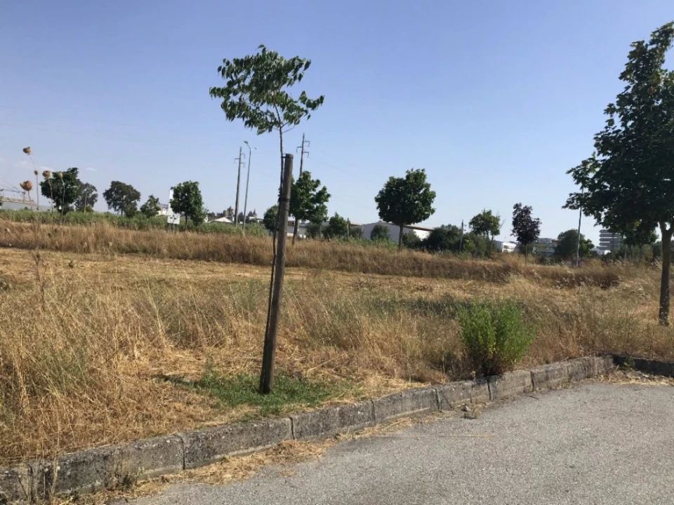 Terreno Misto para Venda em Bacelo e Senhora da Saúde Foto 13