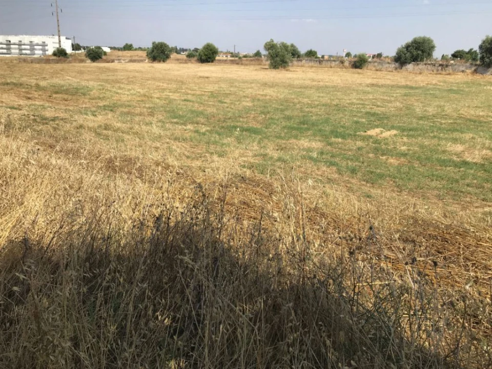 Terreno Misto para Venda em Bacelo e Senhora da Saúde Foto 1