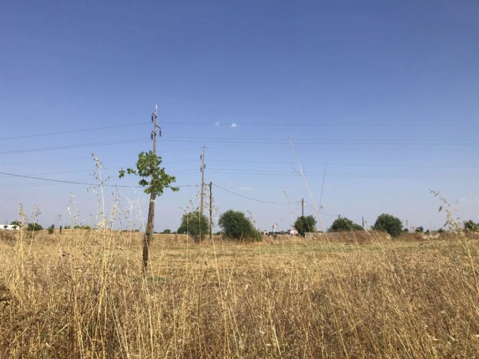 Terreno Misto para Venda em Bacelo e Senhora da Saúde Foto 18