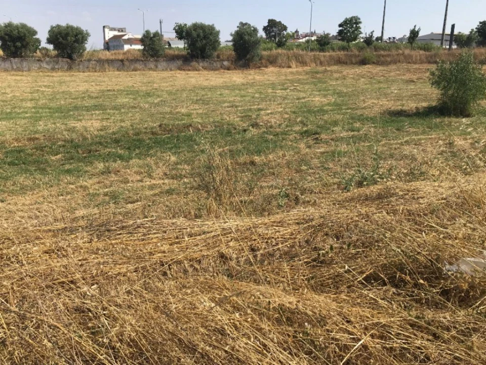 Terreno Misto para Venda em Bacelo e Senhora da Saúde Foto 20