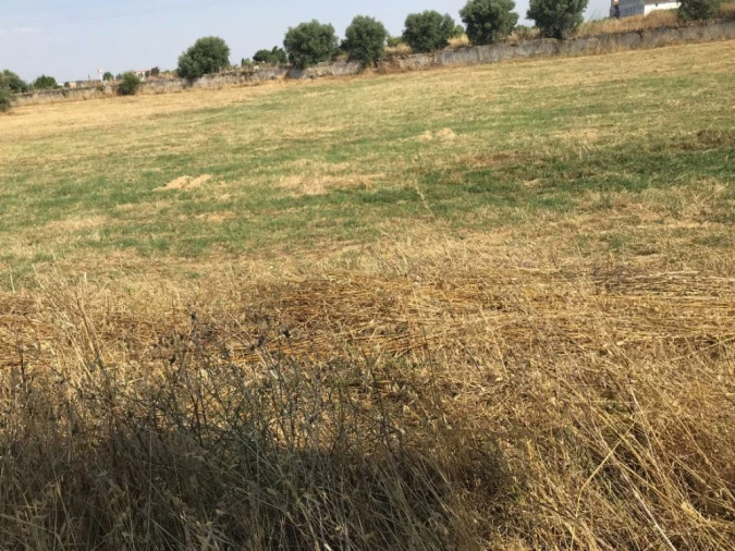 Terreno Misto para Venda em Bacelo e Senhora da Saúde Foto 19