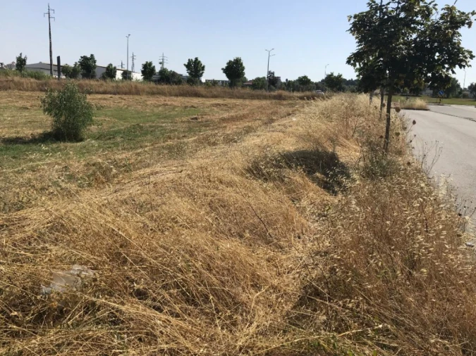 Terreno Misto para Venda em Bacelo e Senhora da Saúde Foto 21