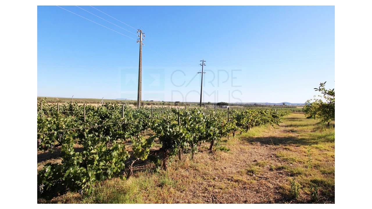 Moradia T4 para Venda em Nossa Senhora da Expectação Foto 36