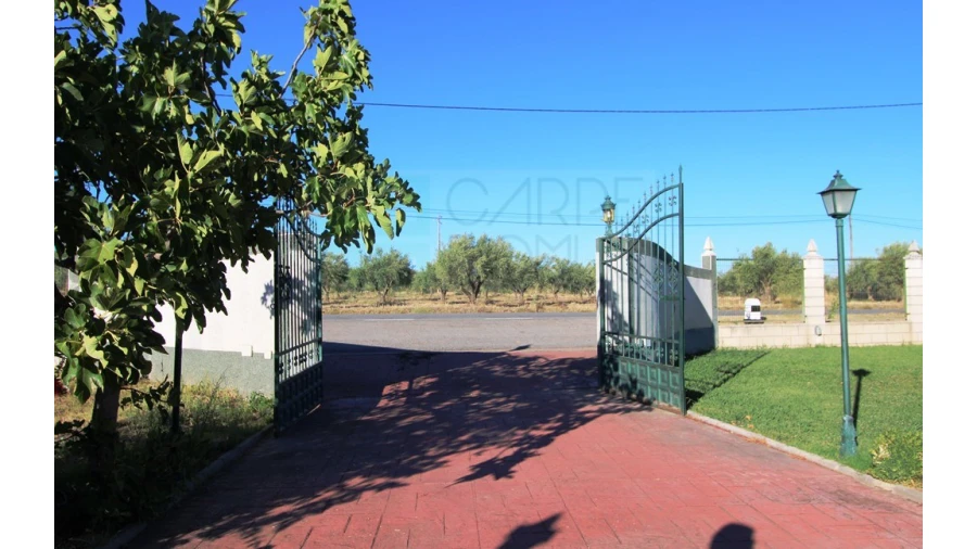 Moradia T4 para Venda em Nossa Senhora da Expectação Foto 42