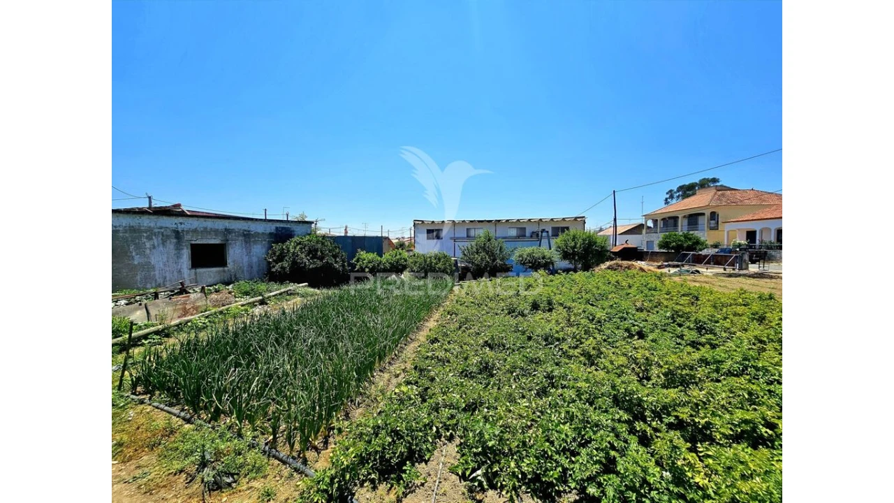 Moradia T4 para Venda em Santa Barbara de Padrões Foto 1