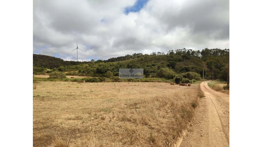 Terreno para Venda em Bordeira Foto 14