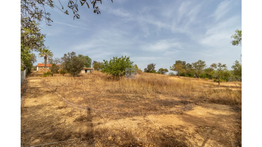 Moradia T1 para Venda em Mexilhoeira Grande Foto 23