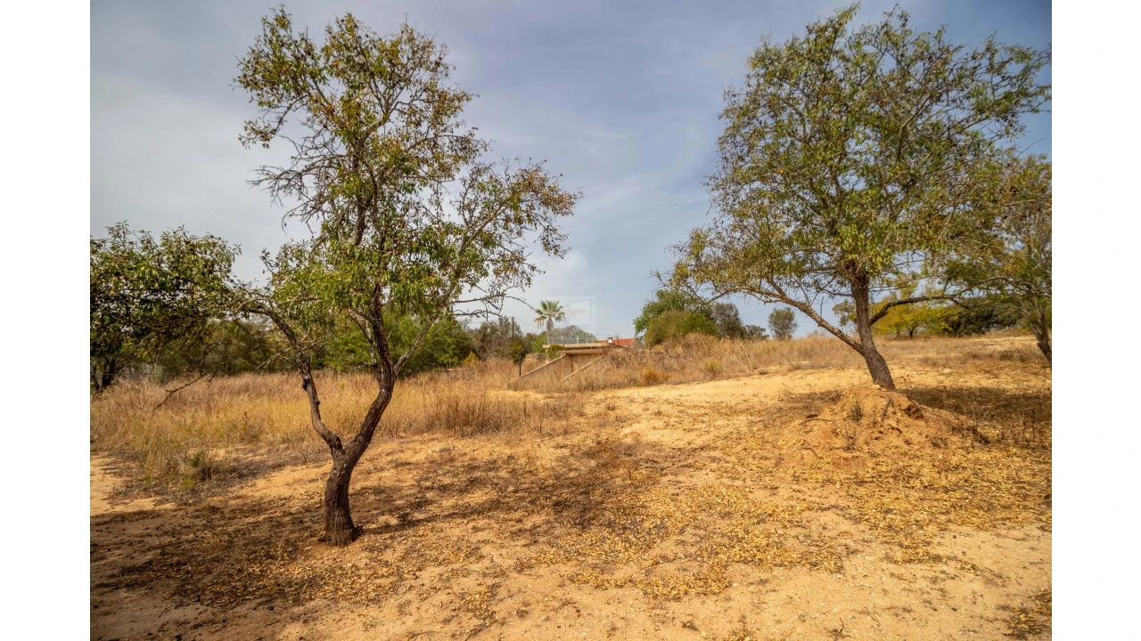 Moradia T1 para Venda em Mexilhoeira Grande Foto 24