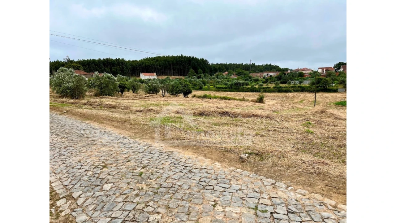 Terreno Agricola ou Rústico para Venda em Arega Foto 1