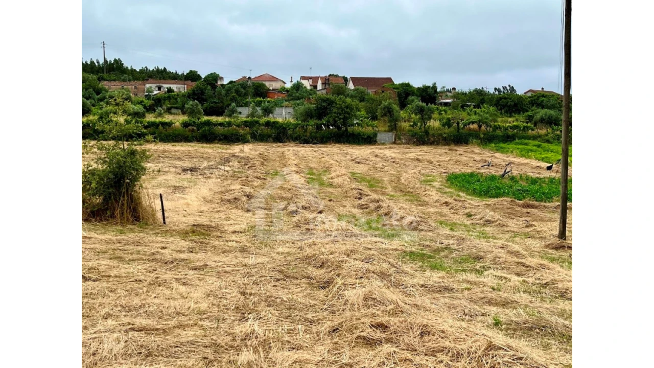 Terreno Agricola ou Rústico para Venda em Arega Foto 4