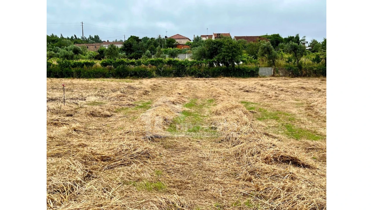 Terreno Agricola ou Rústico para Venda em Arega Foto 5