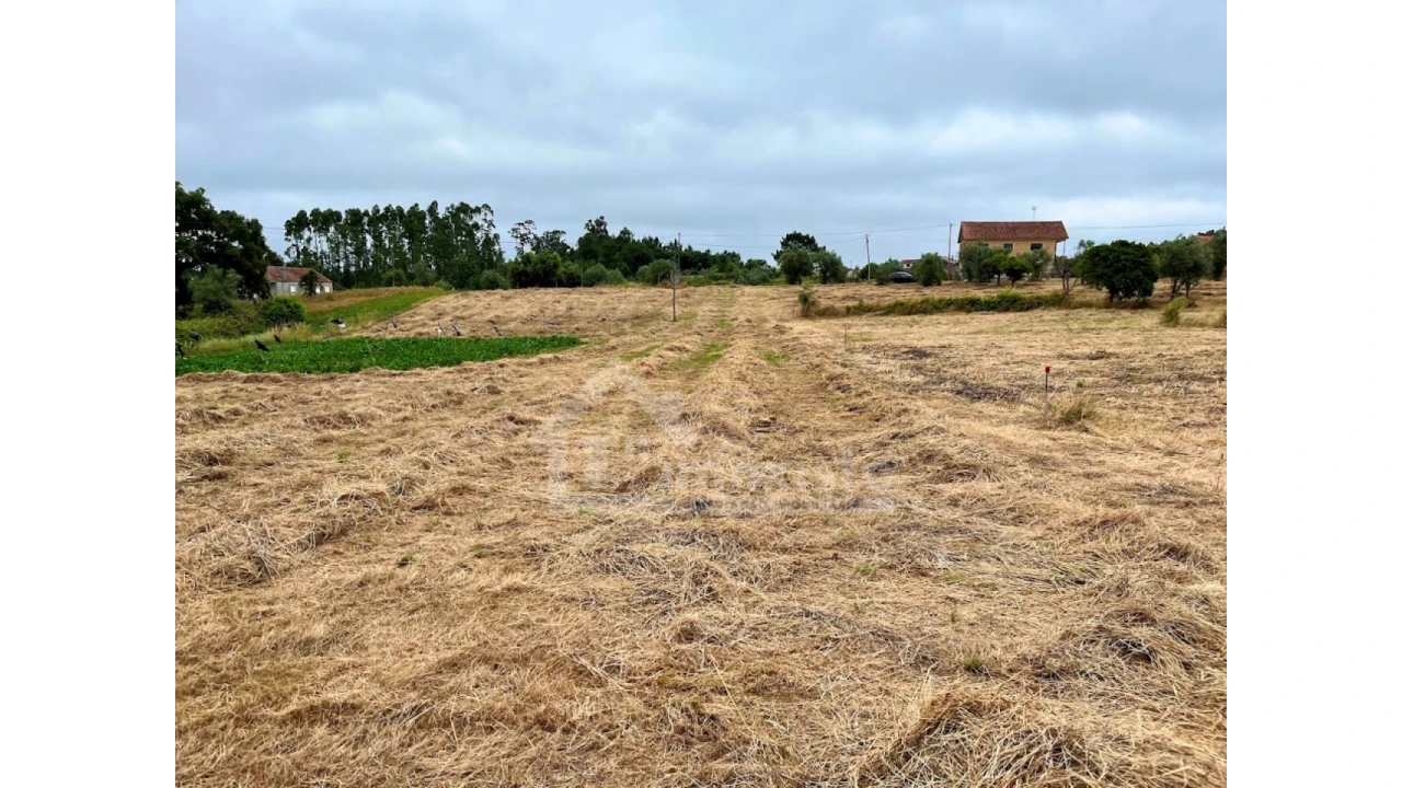 Terreno Agricola ou Rústico para Venda em Arega Foto 6
