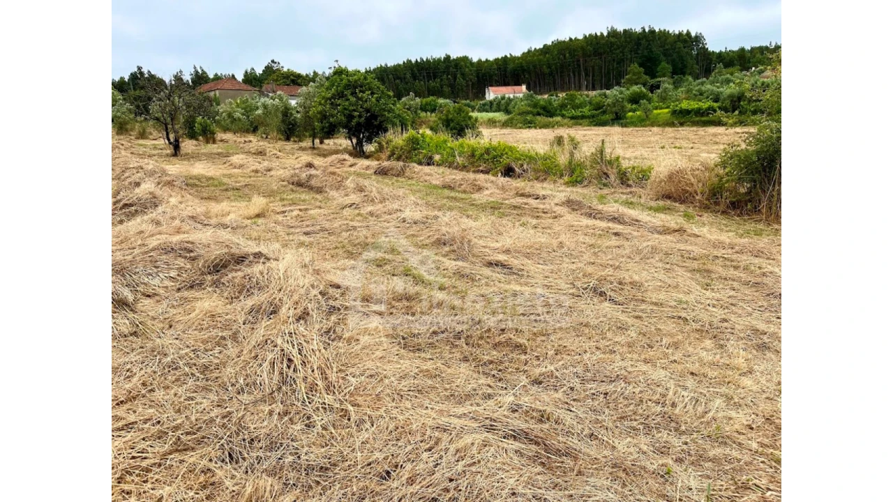 Terreno Agricola ou Rústico para Venda em Arega Foto 8